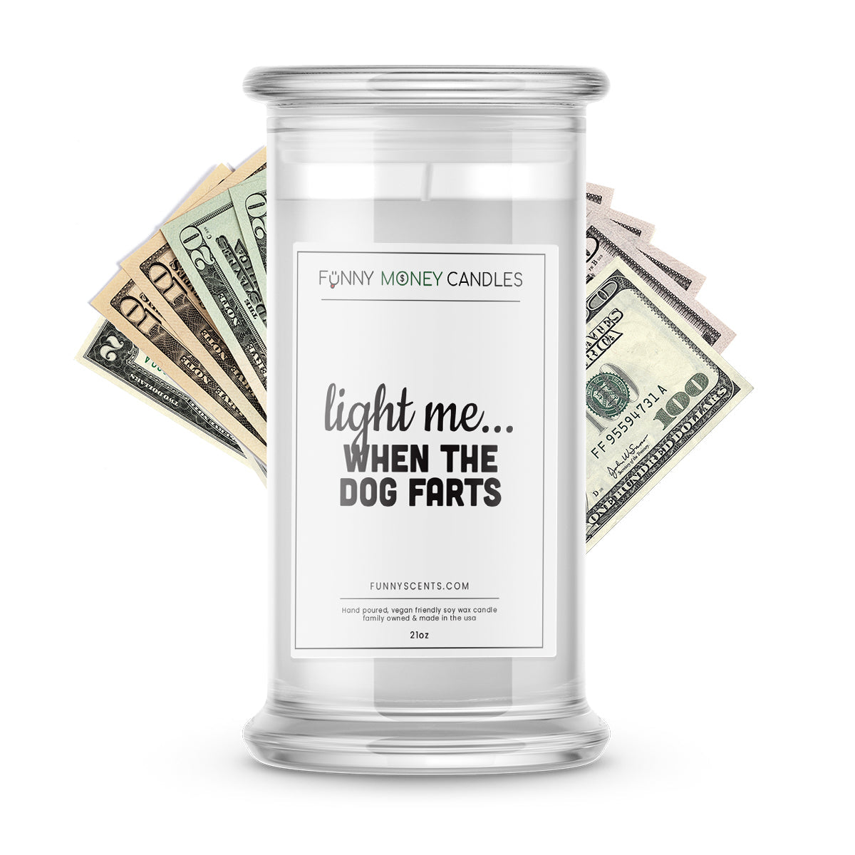 Light me… when the Dog Farts Money Funny Candles