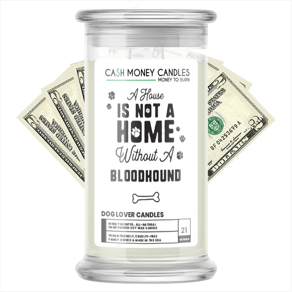 A house is not a home without a Bloodhound Dog Cash Candle