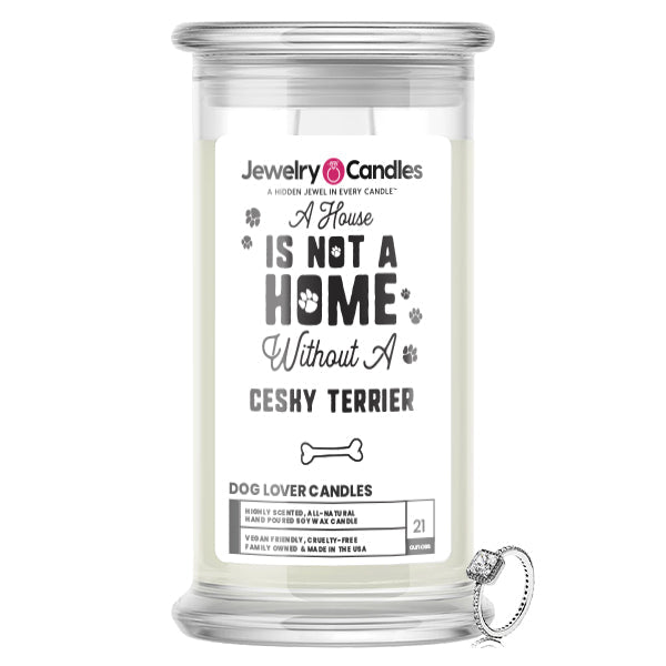 A house is not a home without a Cesky Terrier Dog Jewelry Candle