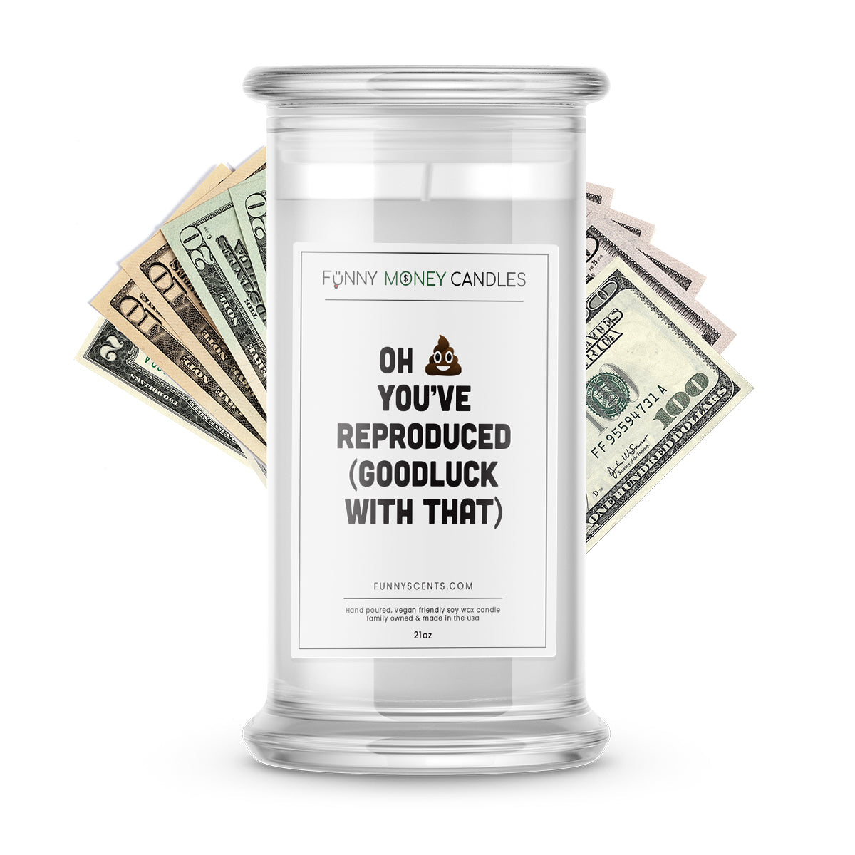 Oh Shit You've Reproduced (Good Luck with that) Money Funny Candles