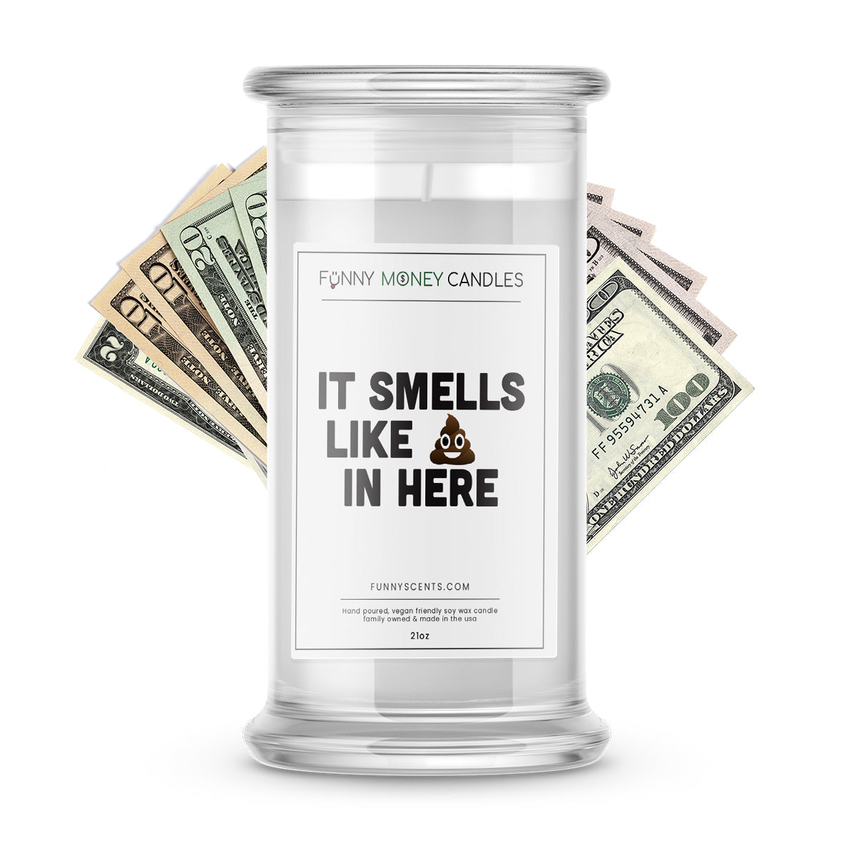 It smells like shit in here Money Funny Candles