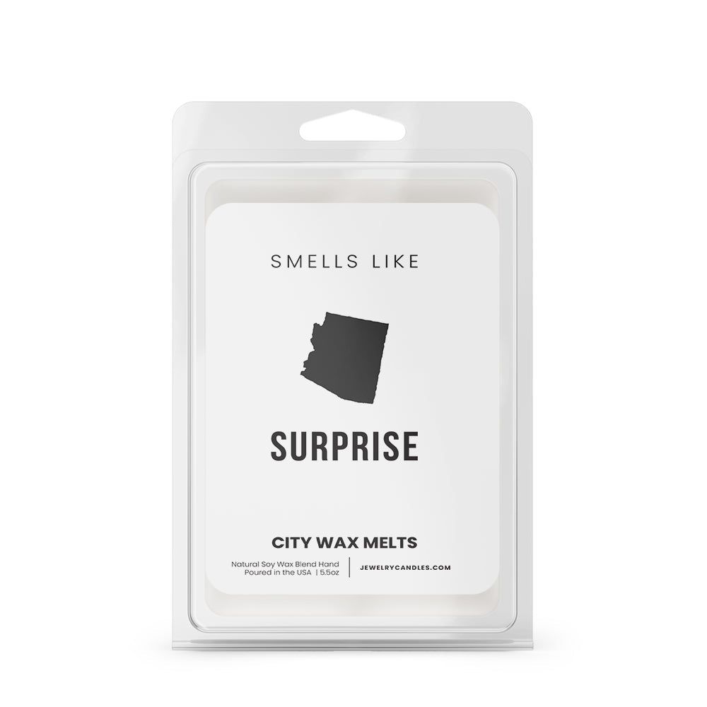 Smells Like Surprise City Wax Melts