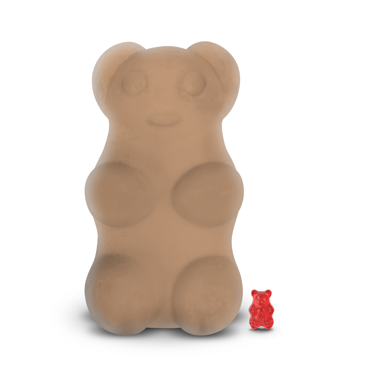 Café Mocha GIANT Cash Money Surprise Bear