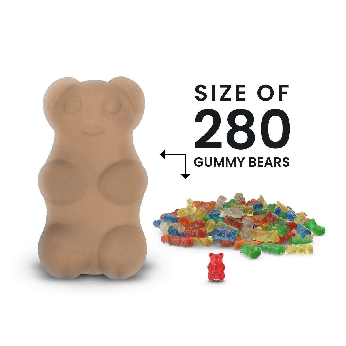 Café Mocha GIANT Cash Money Surprise Bear