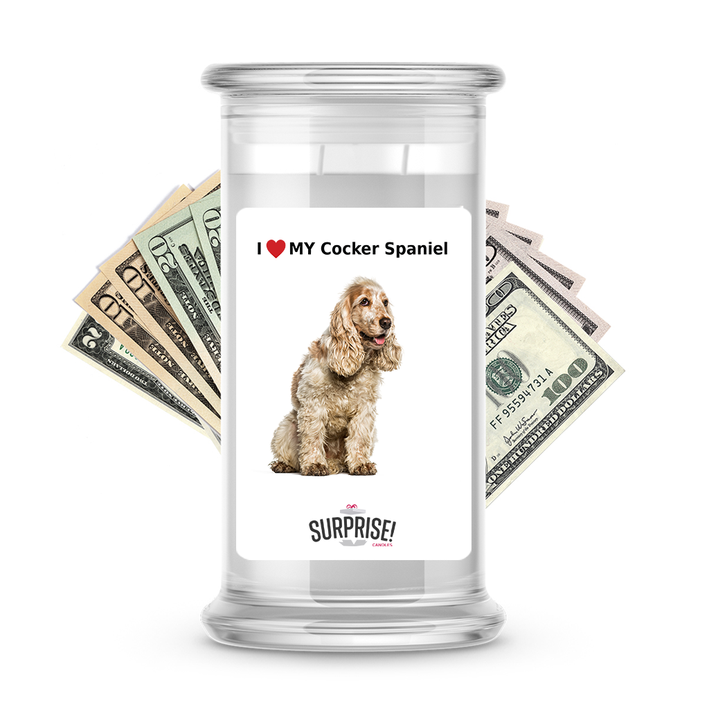 I ������ My Cocker spaniel | Dog Surprise Cash Candles
