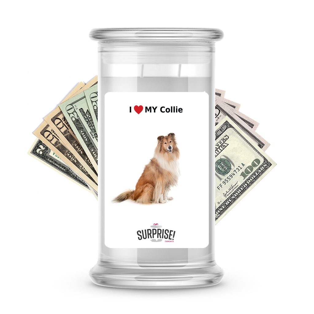 I ������ My Collie | Dog Surprise Cash Candles