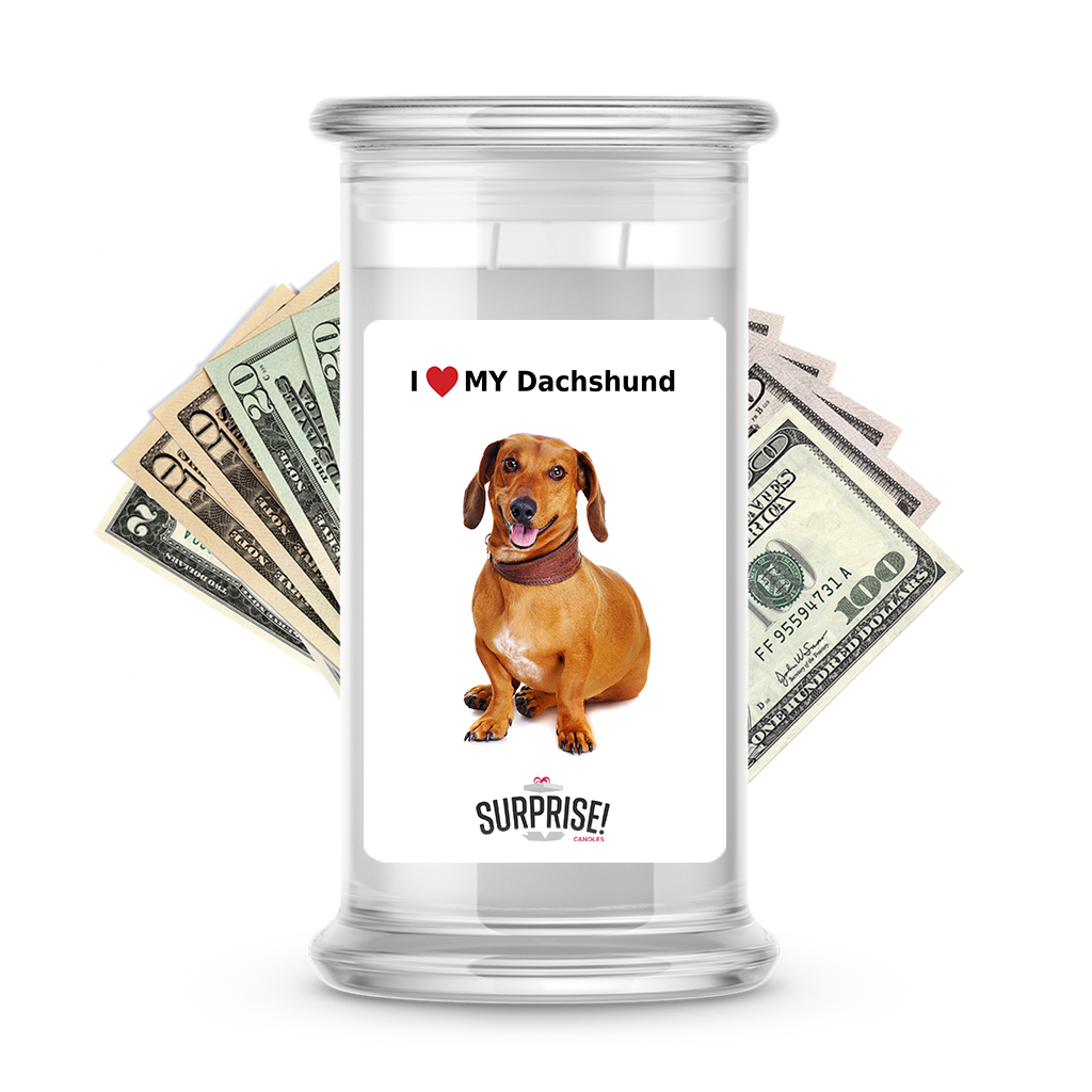 I ������ My Dachshund | Dog Surprise Cash Candles
