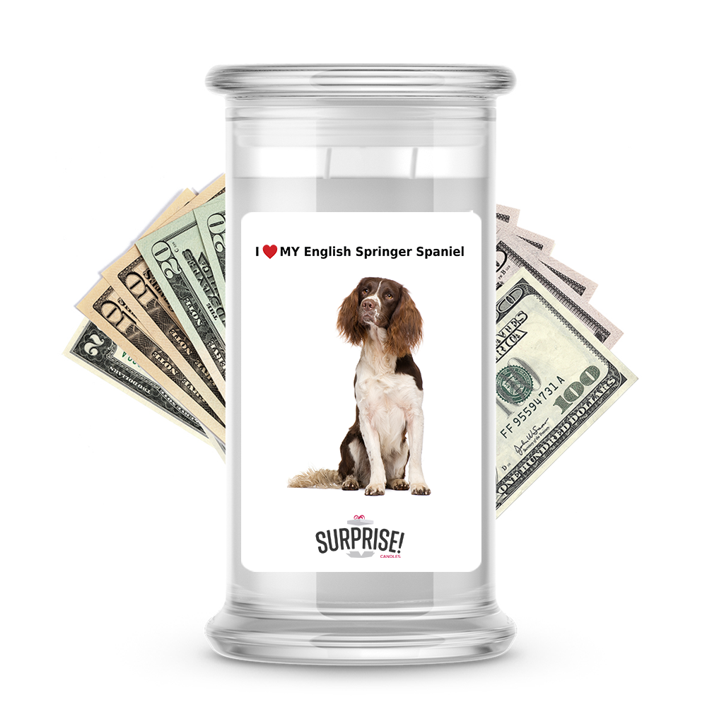 I ������ My English springer spaniel | Dog Surprise Cash Candles