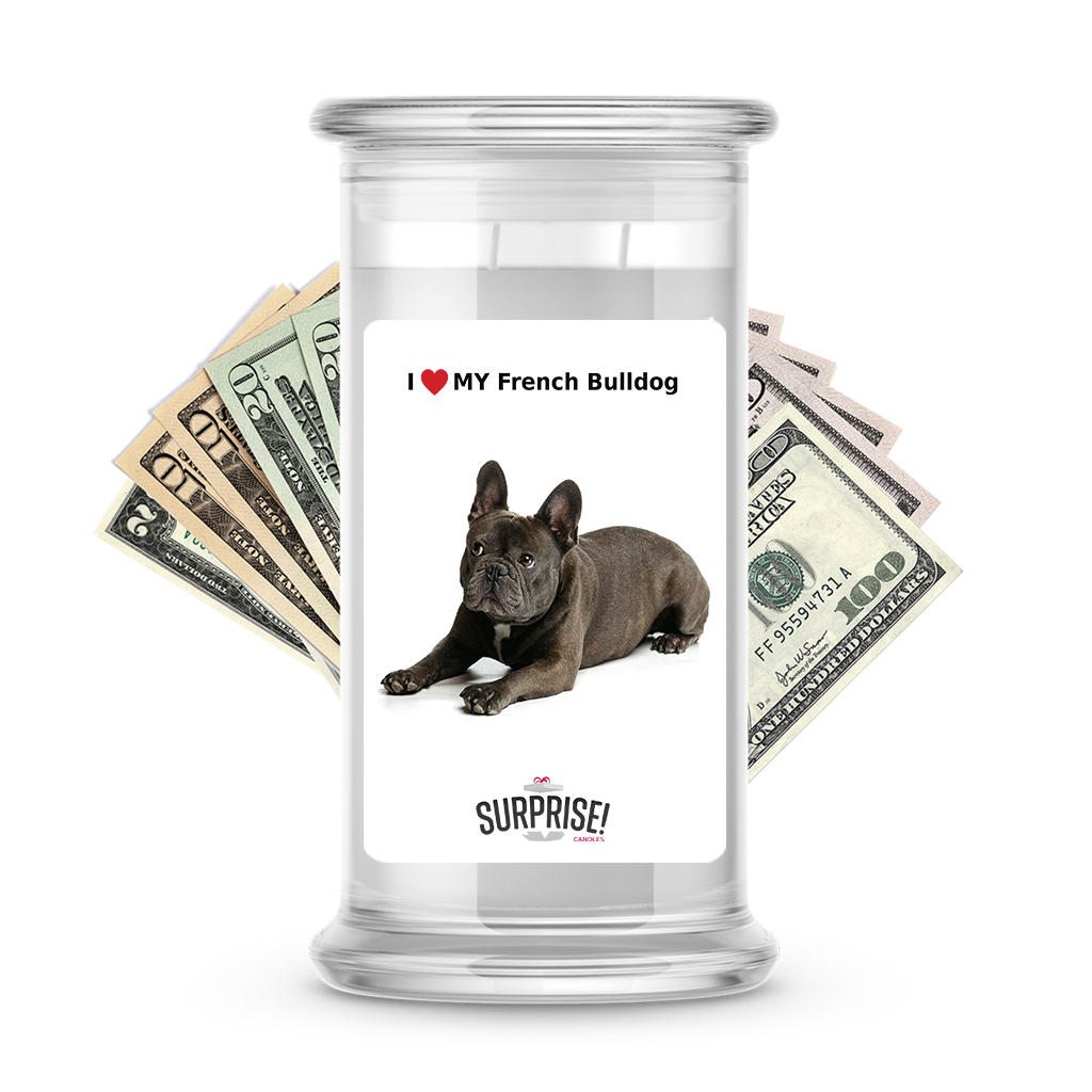 I ������ My French bulldog | Dog Surprise Cash Candles