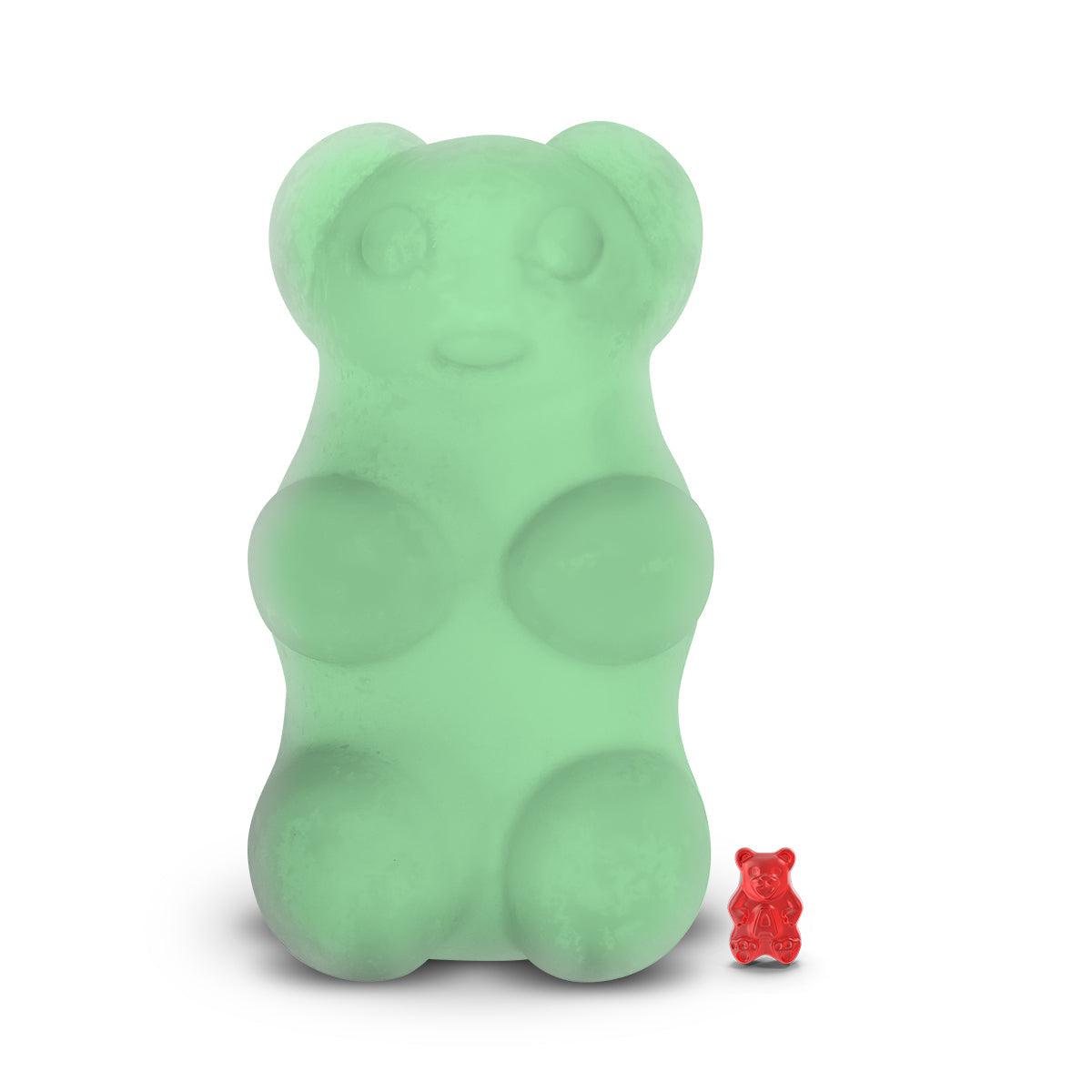 Cozy Cabin in the Woods GIANT Cash Money Surprise Bear
