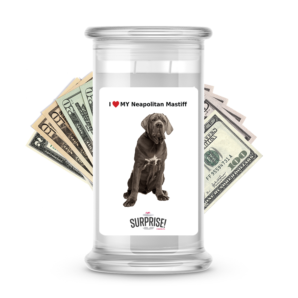 I ������ My Neapolitan mastiff | Dog Surprise Cash Candles