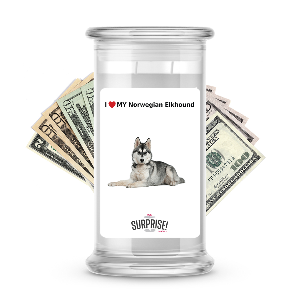 I ������ My Norwegian elkhound | Dog Surprise Cash Candles
