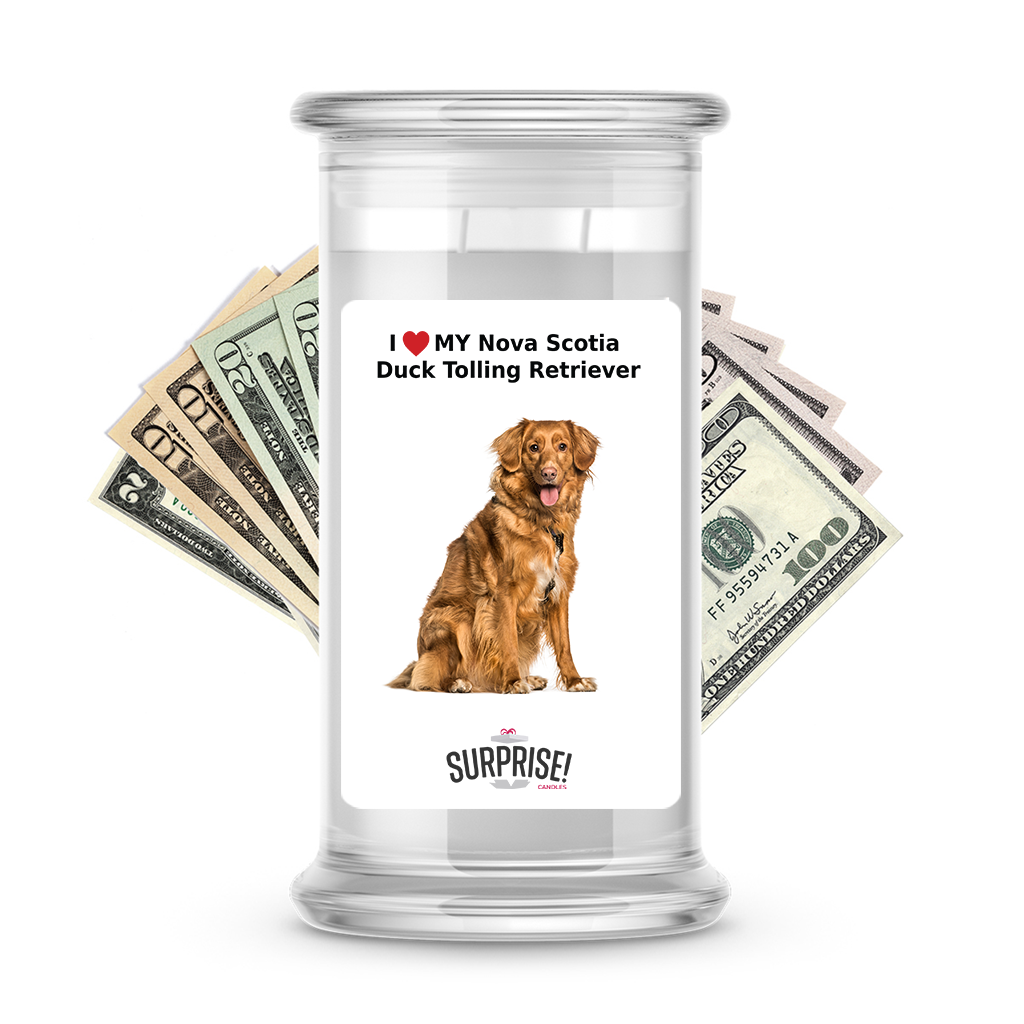 I ������ My Nova Scotia duck tolling retriever | Dog Surprise Cash Candles