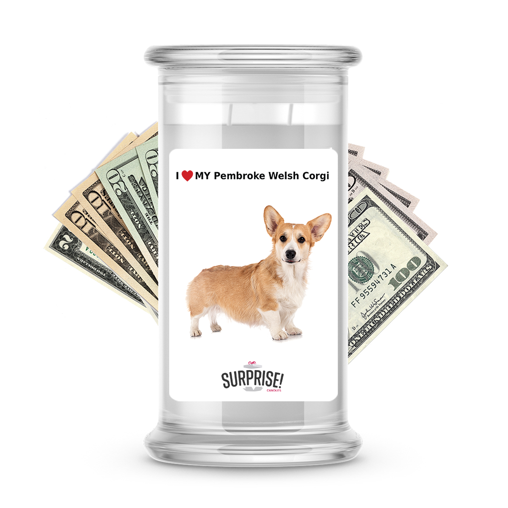 I ������ My Pembroke Welsh corgi | Dog Surprise Cash Candles