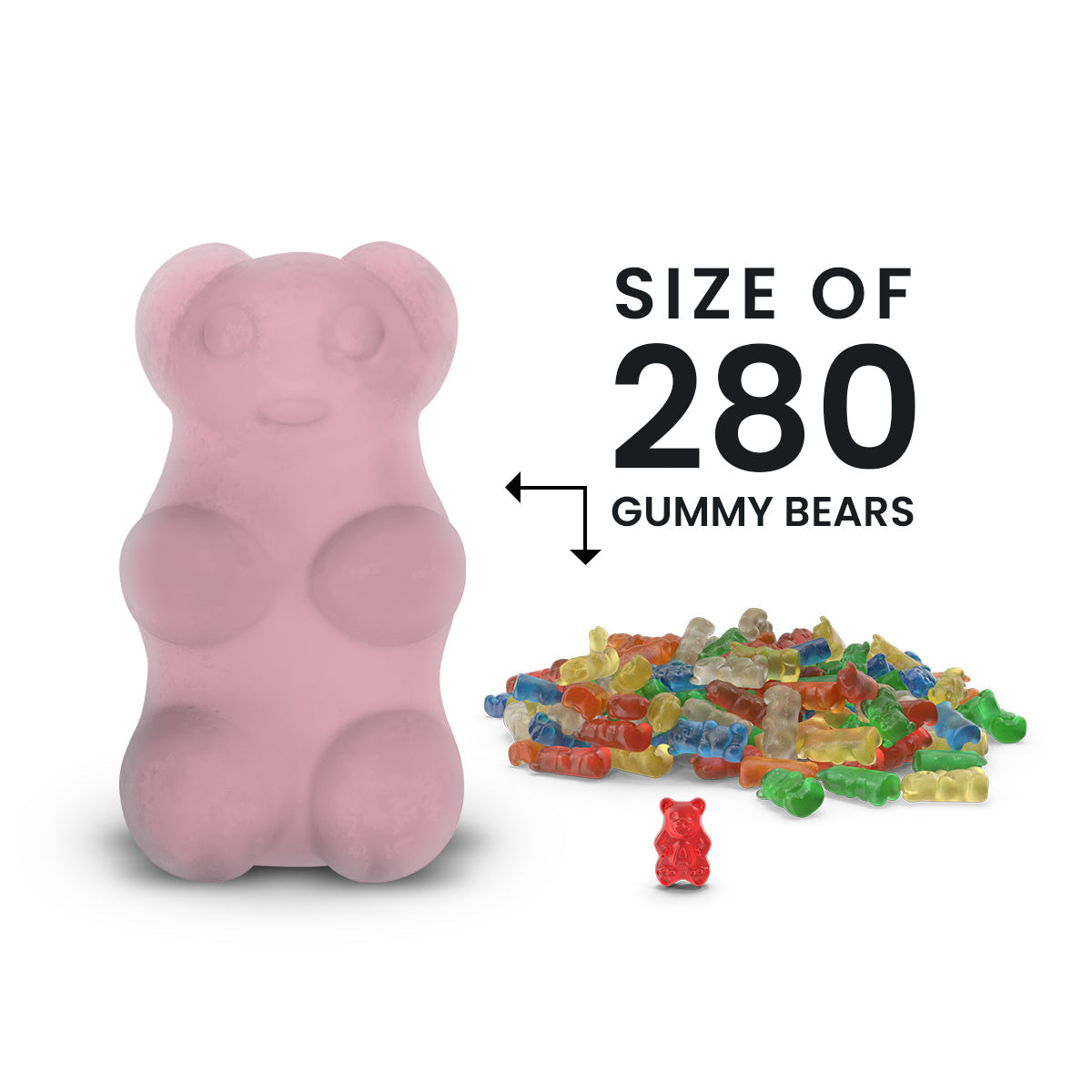 Fresh Cut Roses GIANT Cash Money Surprise Bear