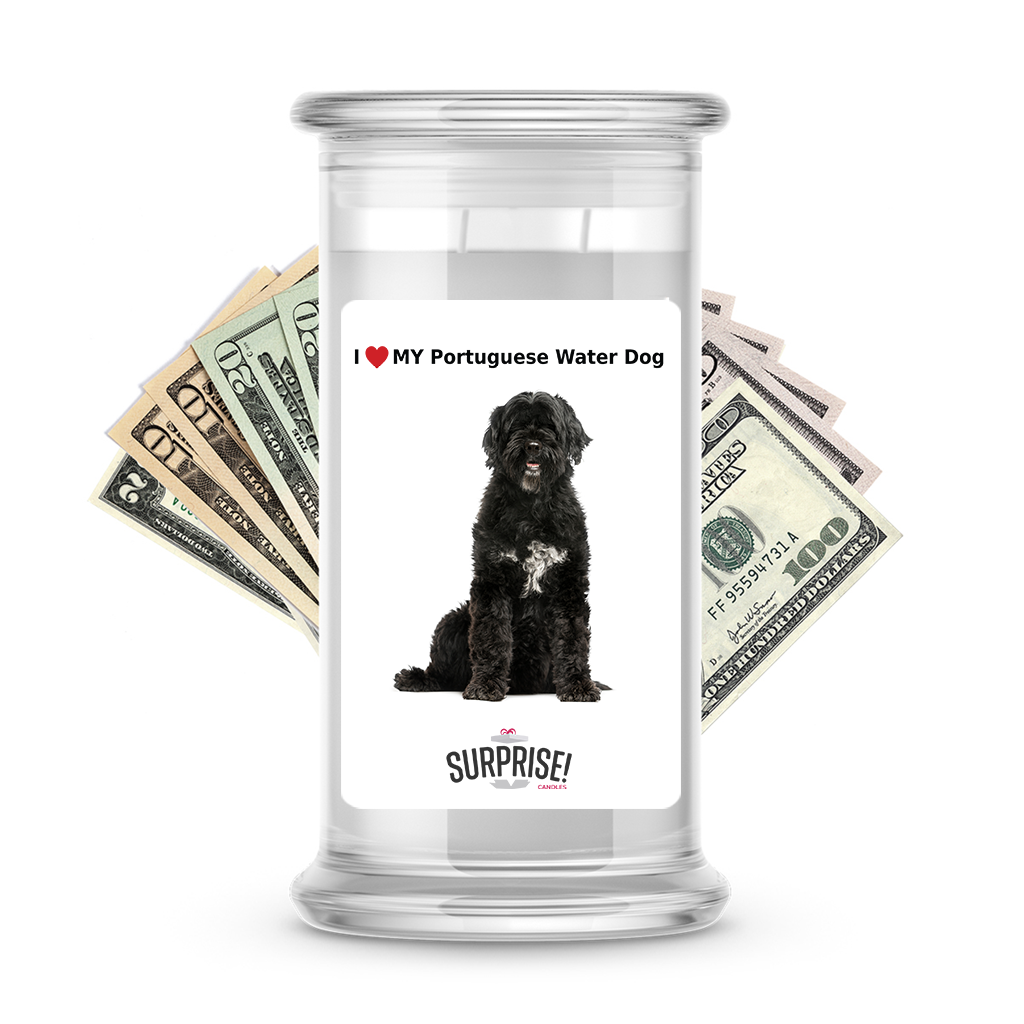 I ������ My Portuguese water dog | Dog Surprise Cash Candles