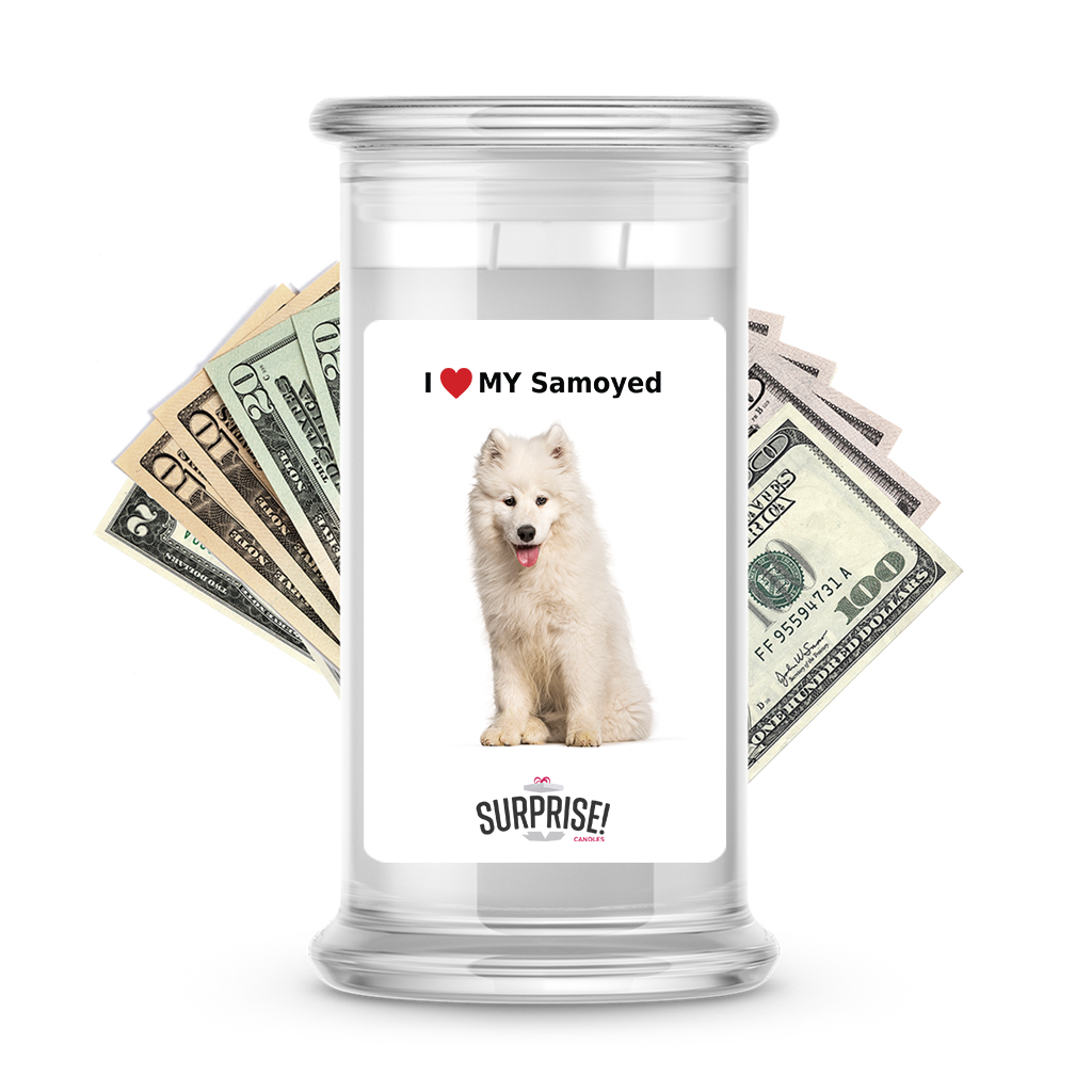 I ������ My Samoyed | Dog Surprise Cash Candles
