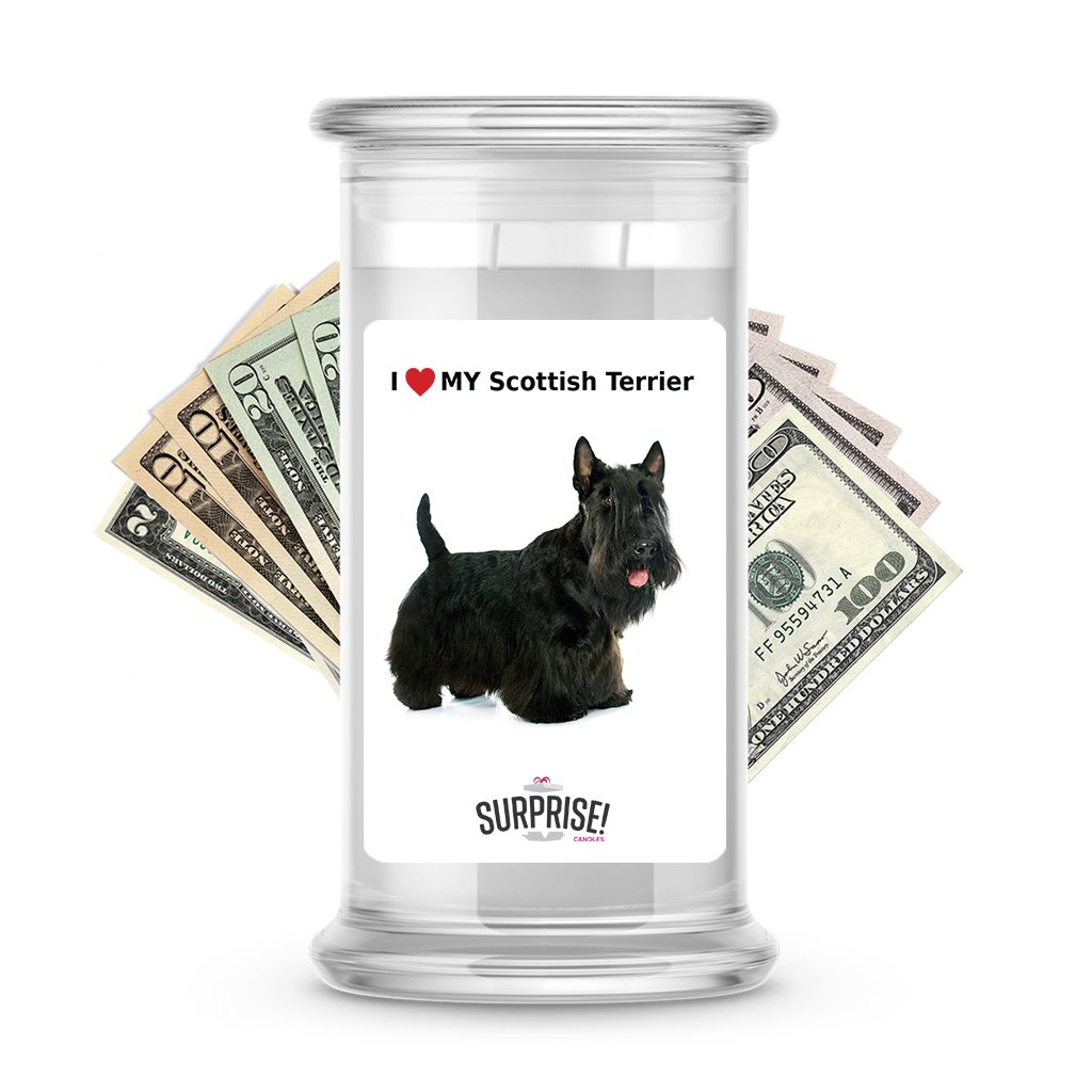 I ������ My Scottish terrier | Dog Surprise Cash Candles