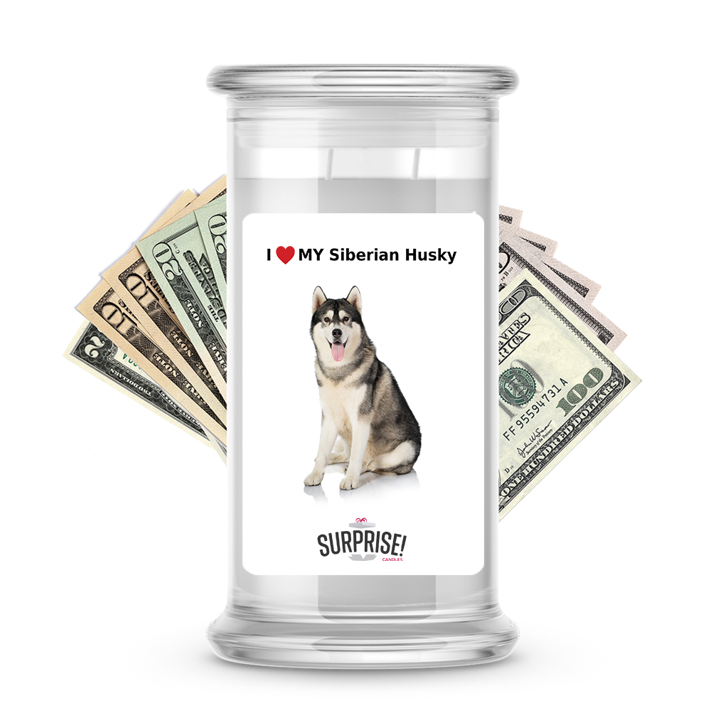I ������ My Siberian husky | Dog Surprise Cash Candles