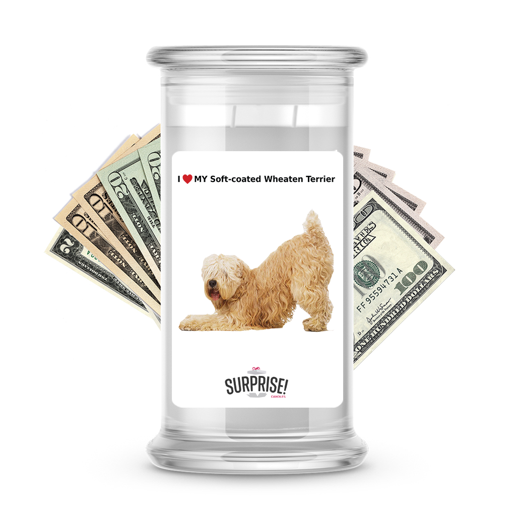 I ������ My Soft-coated wheaten terrier | Dog Surprise Cash Candles