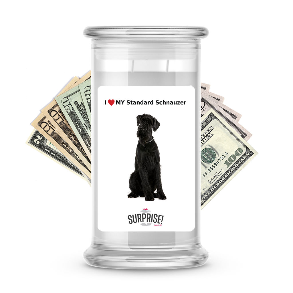 I ������ My Standard schnauzer | Dog Surprise Cash Candles
