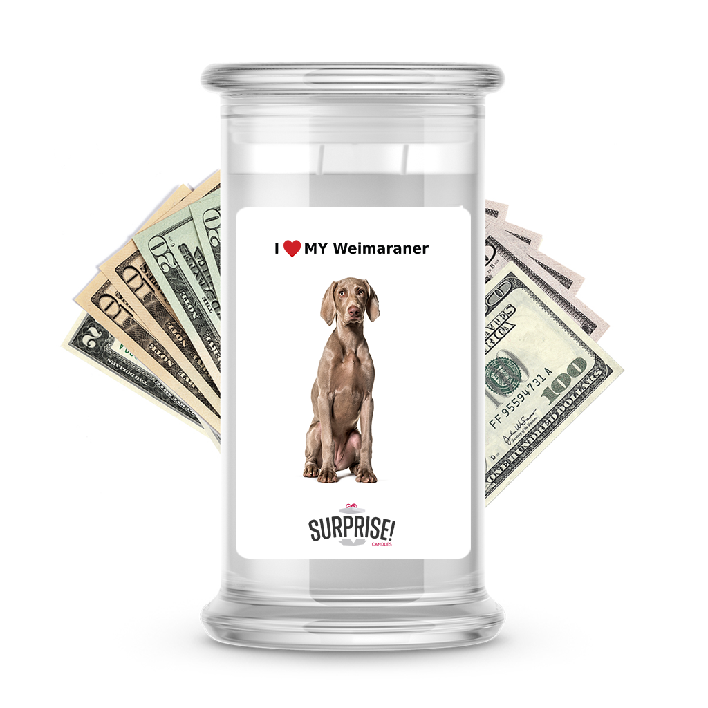 I ������ My Weimaraner | Dog Surprise Cash Candles
