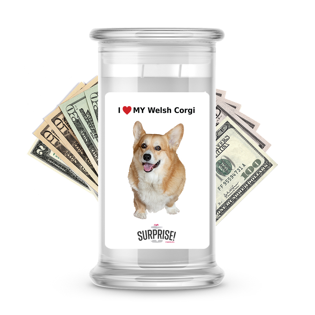 I ������ My Welsh corgi | Dog Surprise Cash Candles