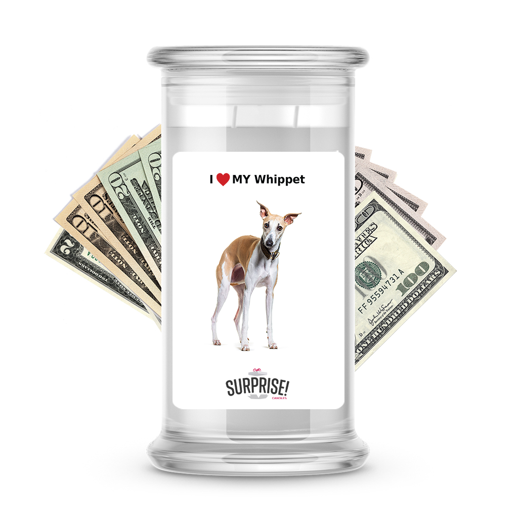 I ������ My Whippet | Dog Surprise Cash Candles