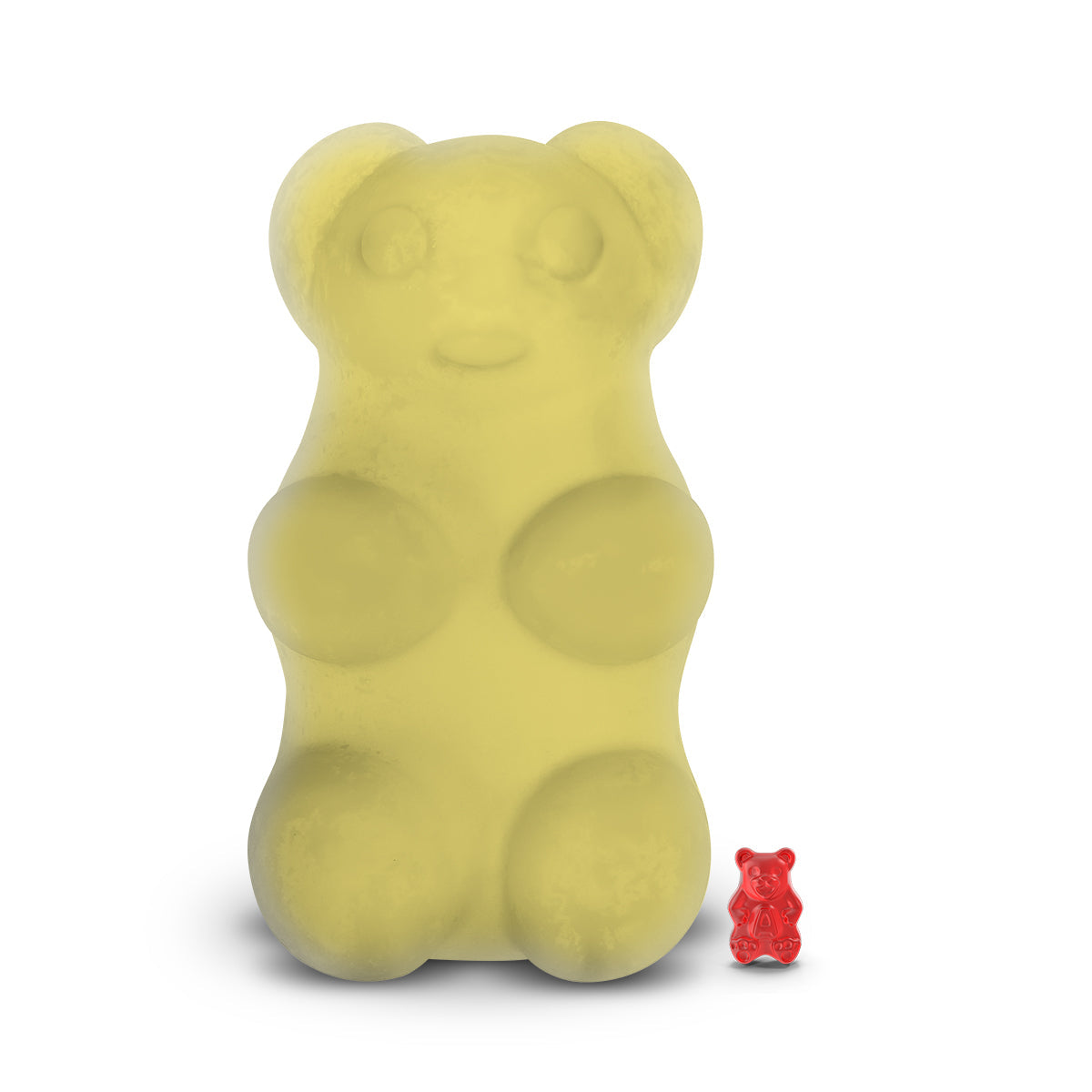 If You Like Pina Coladas! GIANT Jewelry Surprise Bear