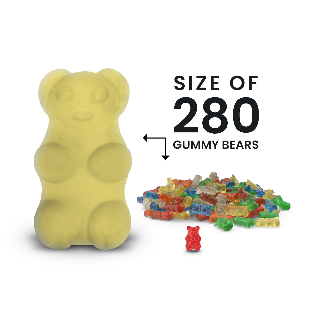 If You Like Pina Coladas! GIANT Jewelry Surprise Bear