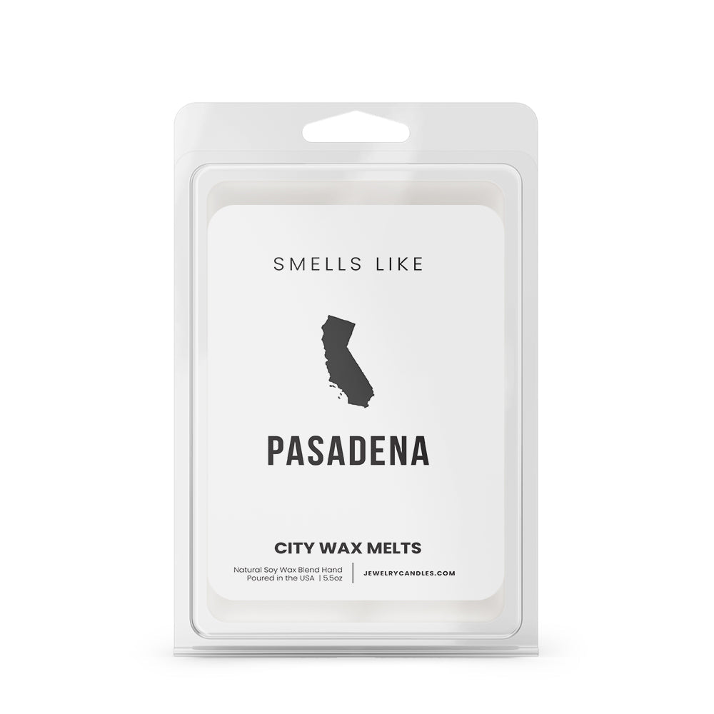 Smells Like Paterson City Wax Melts