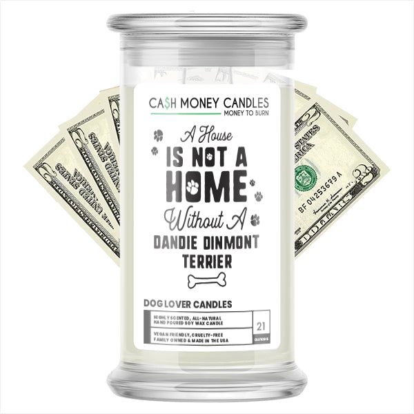 A house is not a home without a Dandie Dinmont Terrier Dog Cash Candle