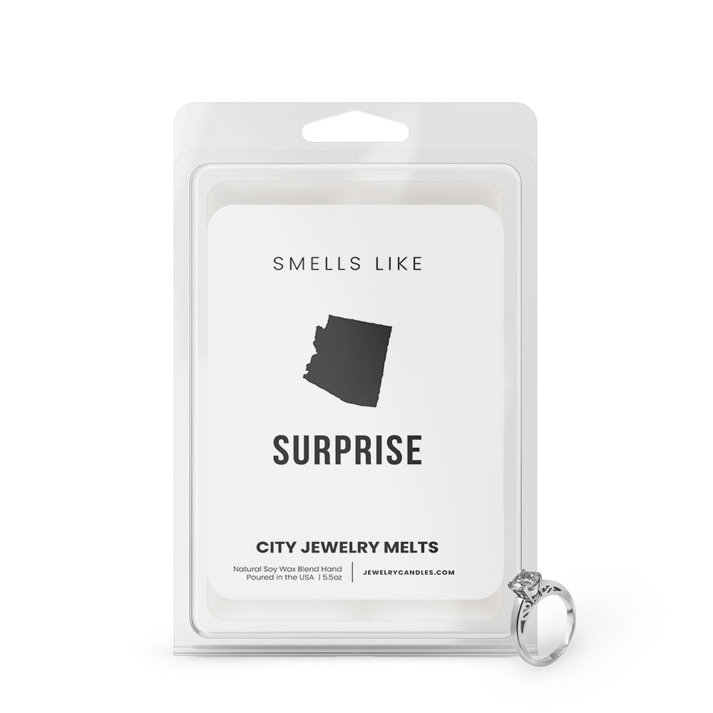 Smells Like Surprise City Jewelry Wax Melts