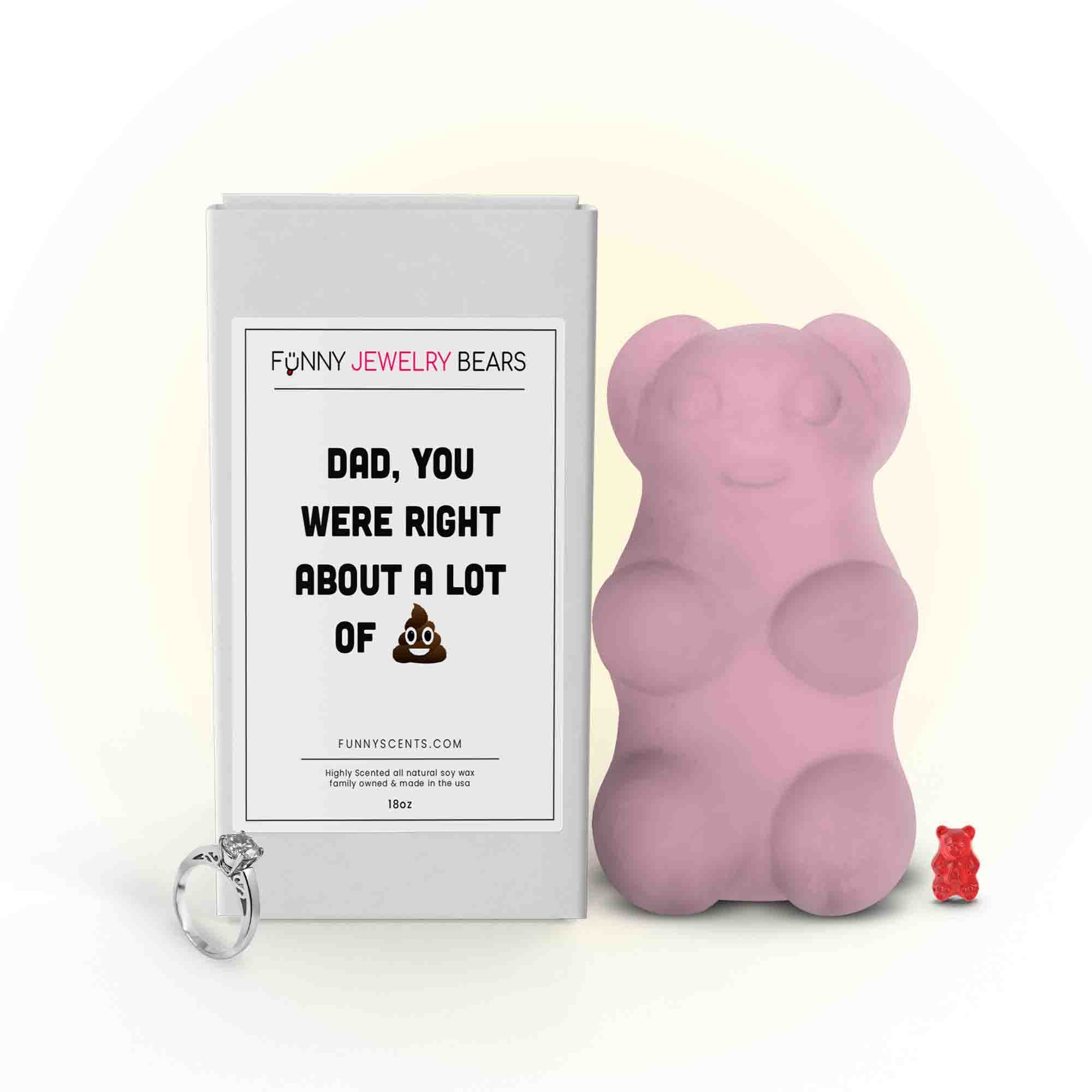 Dad, You Were Right About Lot of Shit Funny Jewelry Bear Wax Melts