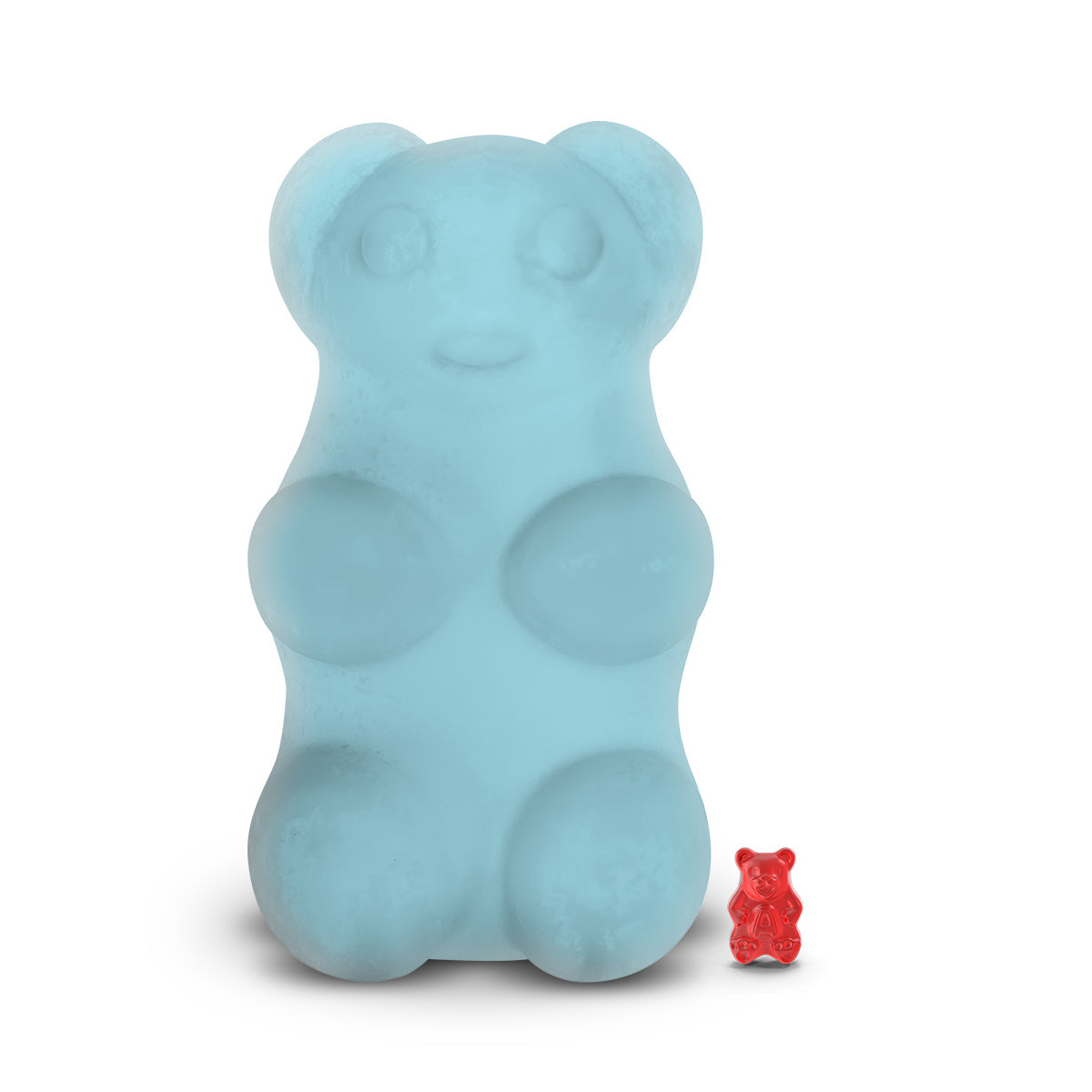 Summer Sands Beach GIANT Cash Money Surprise Bear