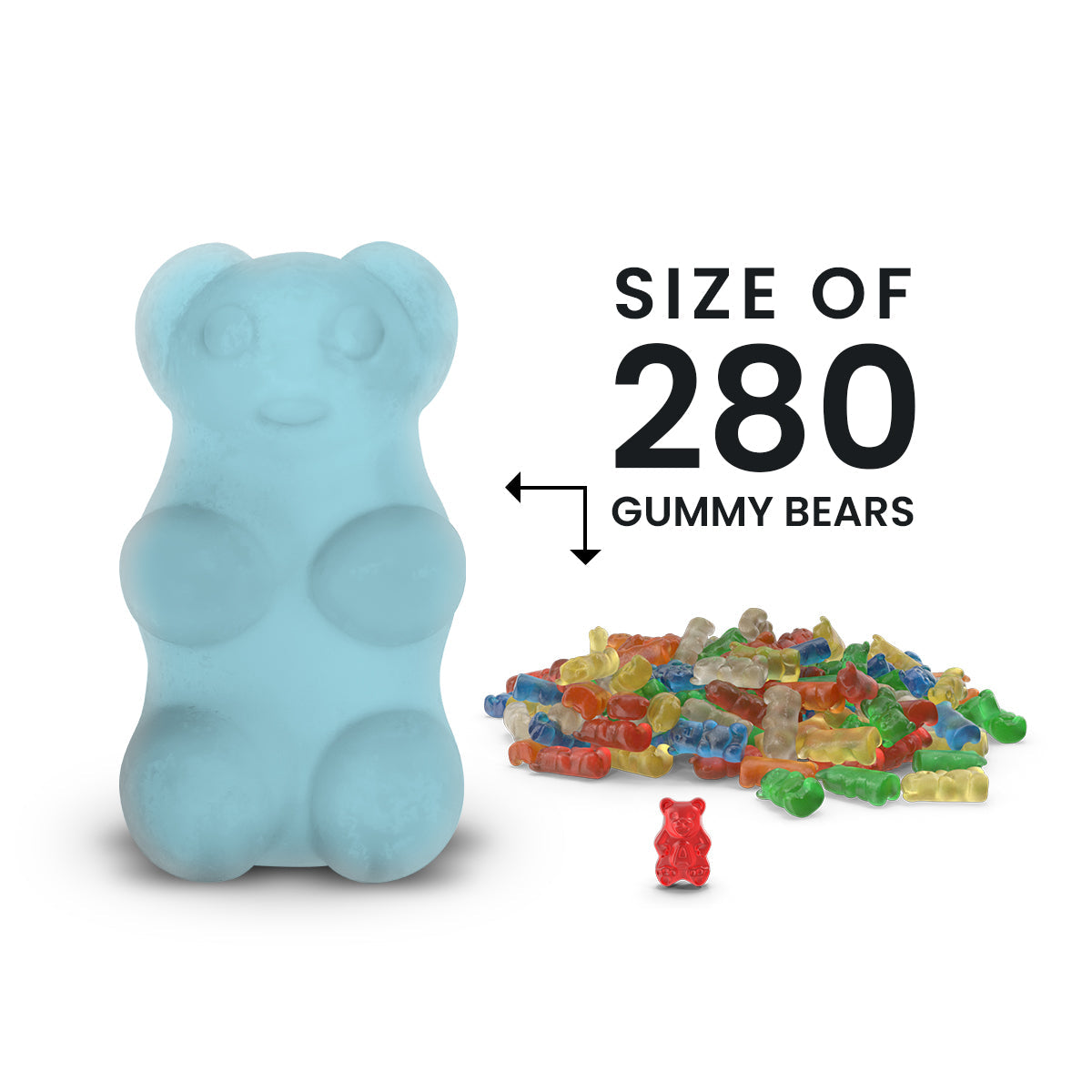 Blueberry Muffin GIANT Cash Money Surprise Bear