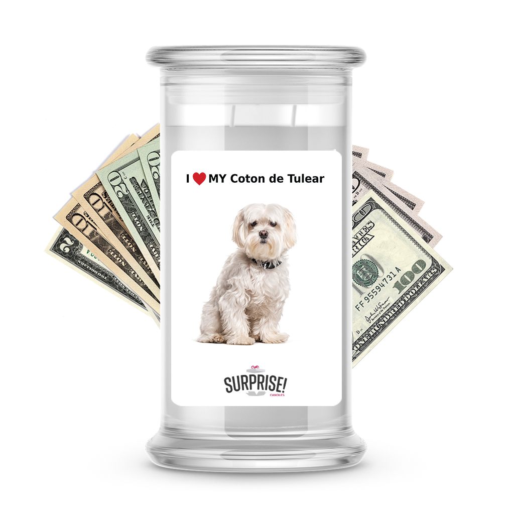 I ������ My Coton de Tulear | Dog Surprise Cash Candles