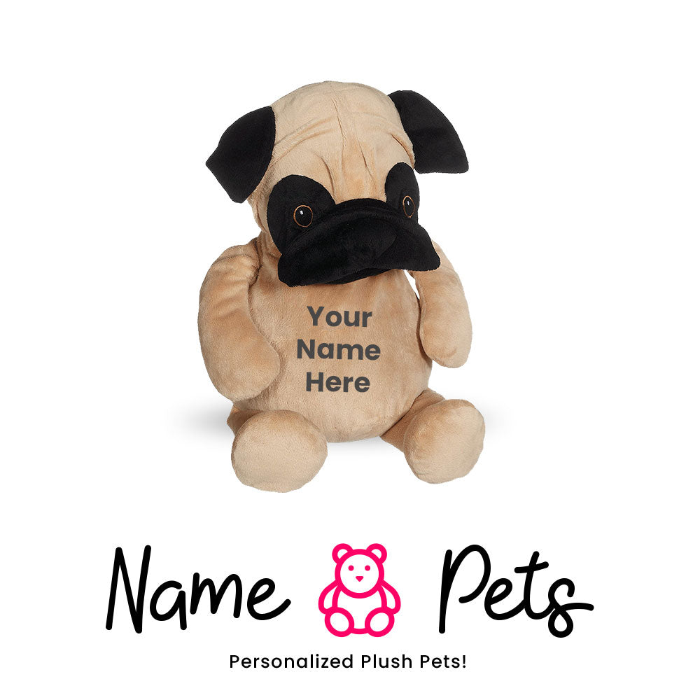 Dog-3 Name Pet