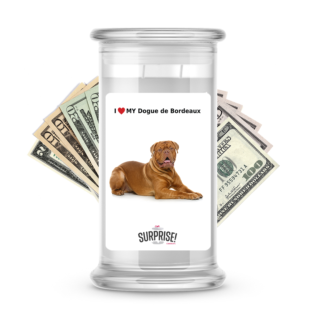 I ������ My Dogue de Bordeaux | Dog Surprise Cash Candles