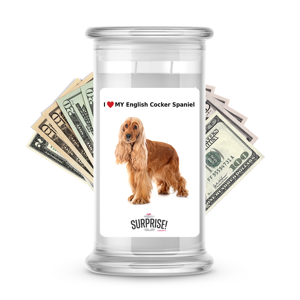 I ������ My English cocker spaniel | Dog Surprise Cash Candles