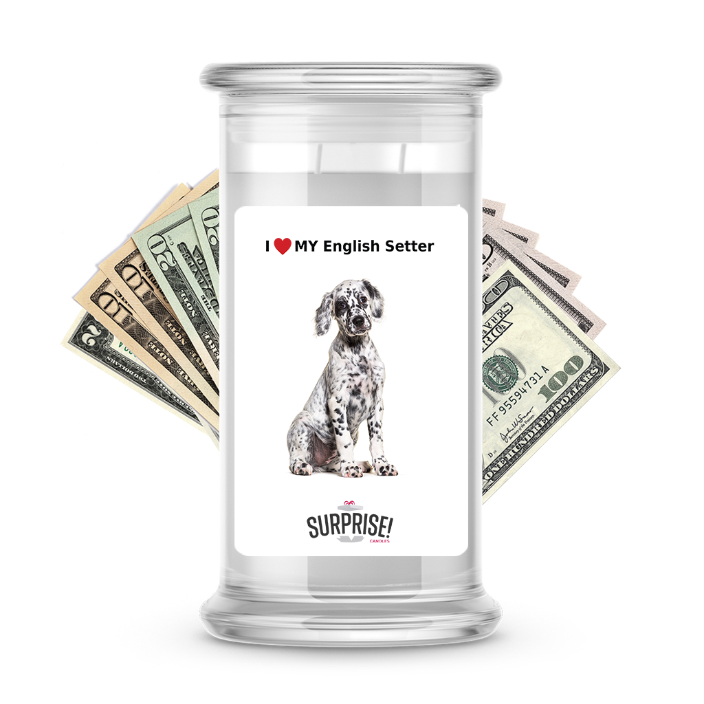 I ������ My English setter | Dog Surprise Cash Candles