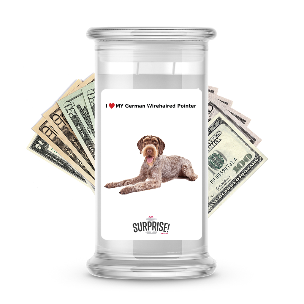I ������ My German wirehaired pointer | Dog Surprise Cash Candles