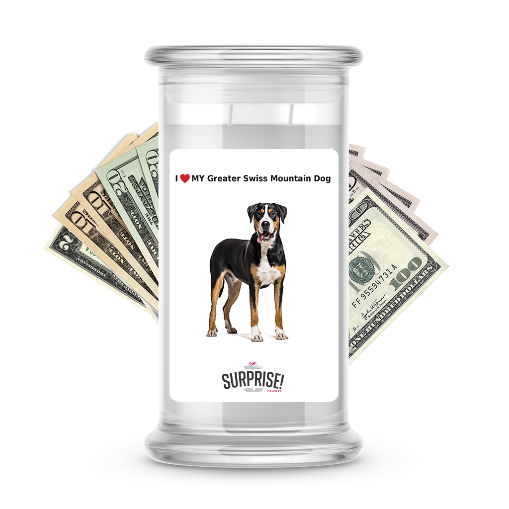 I ������ My Greater Swiss mountain dog | Dog Surprise Cash Candles