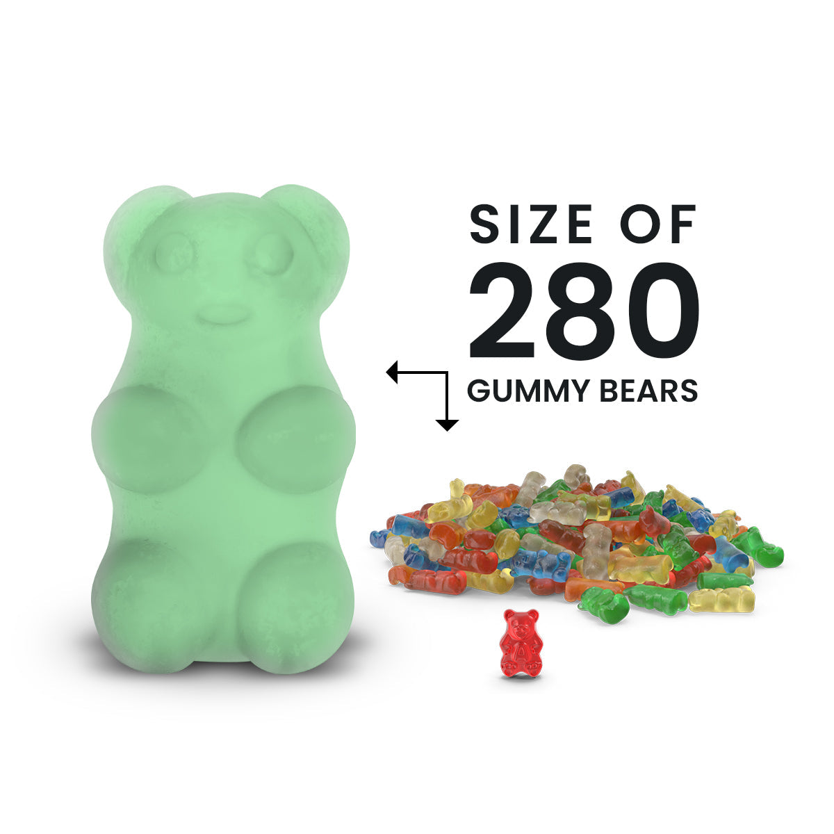 Cozy Cabin in the Woods GIANT Cash Money Surprise Bear