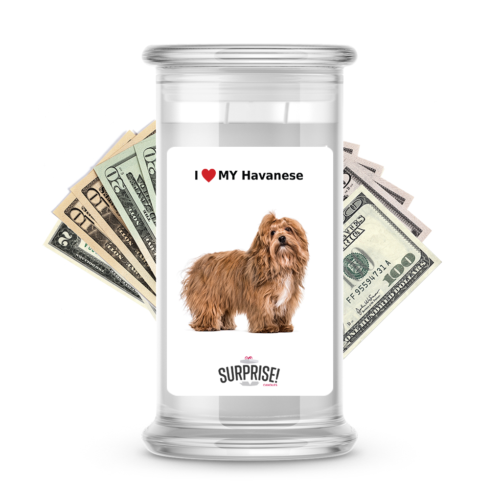 I ������ My Havanese | Dog Surprise Cash Candles