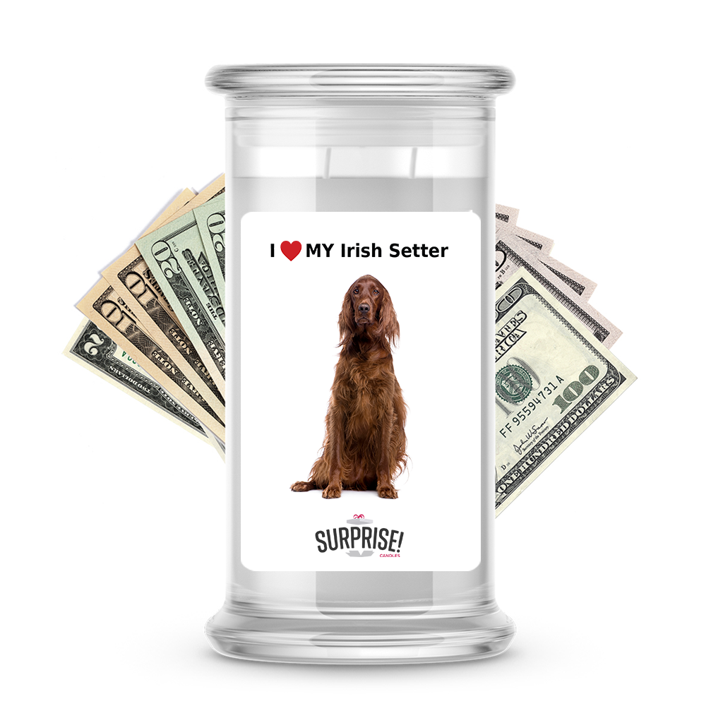 I ������ My Irish setter | Dog Surprise Cash Candles