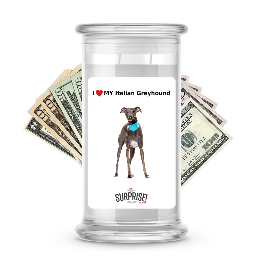 I ������ My Italian greyhound | Dog Surprise Cash Candles