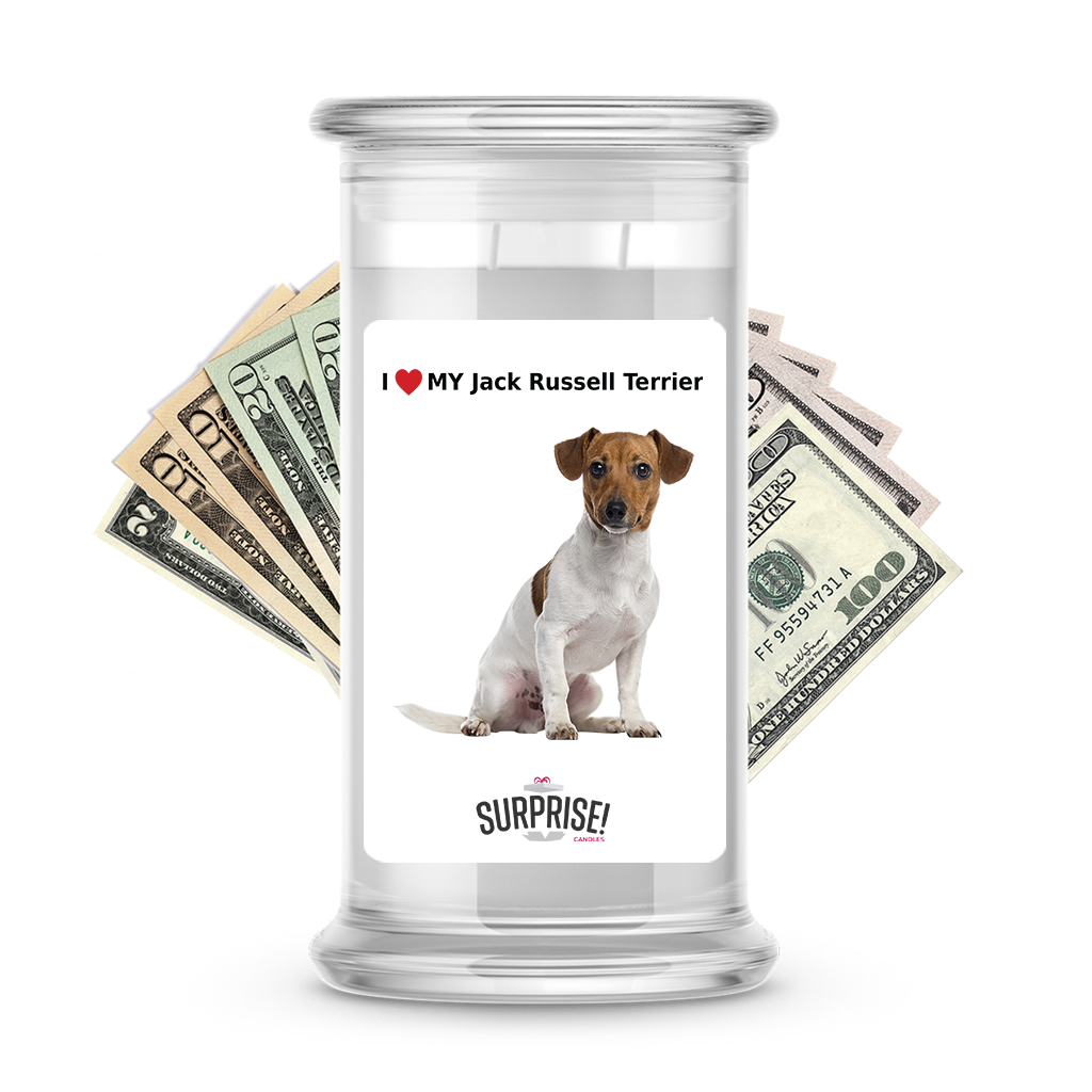 I ������ My Jack Russell terrier | Dog Surprise Cash Candles