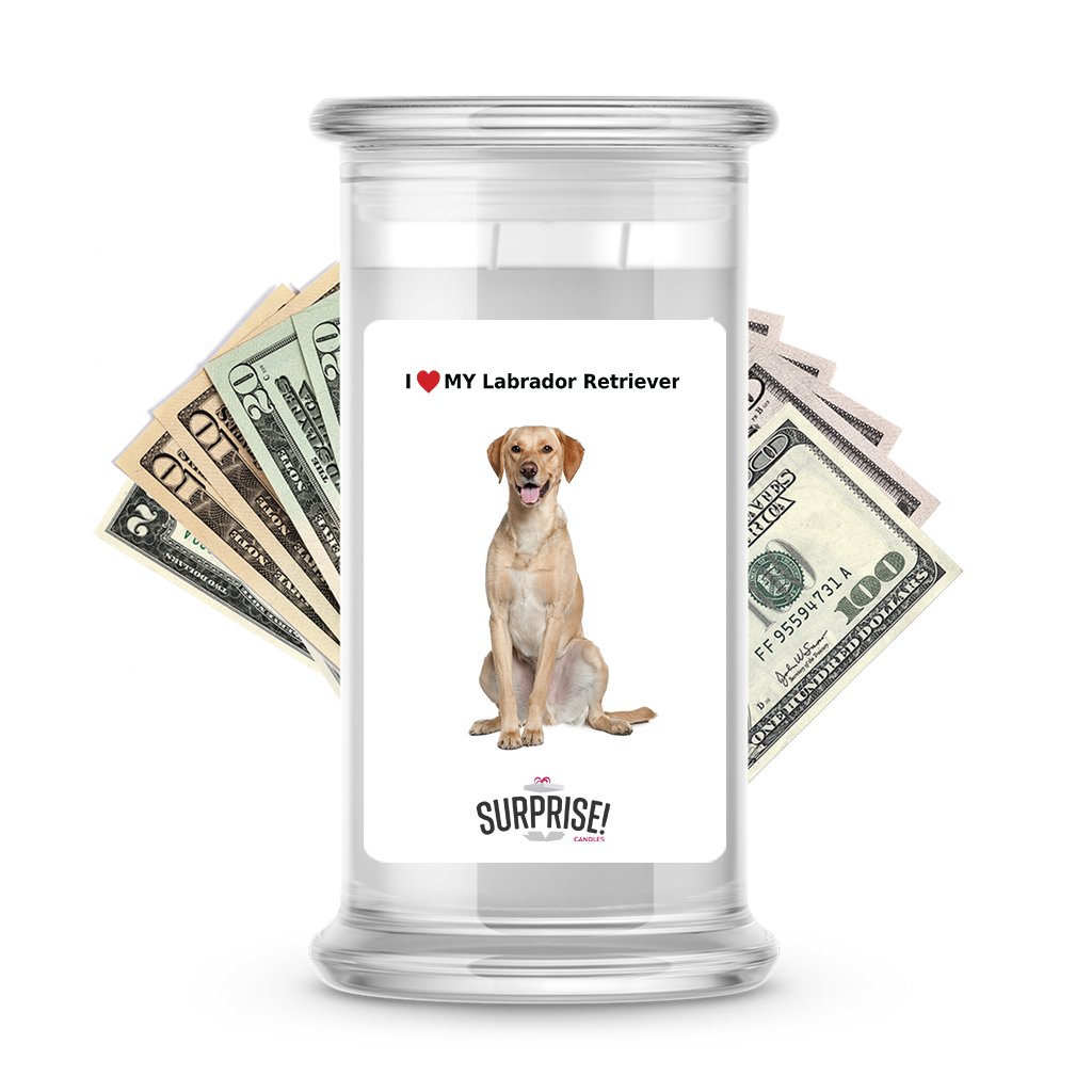 I ������ My Labrador retriever | Dog Surprise Cash Candles