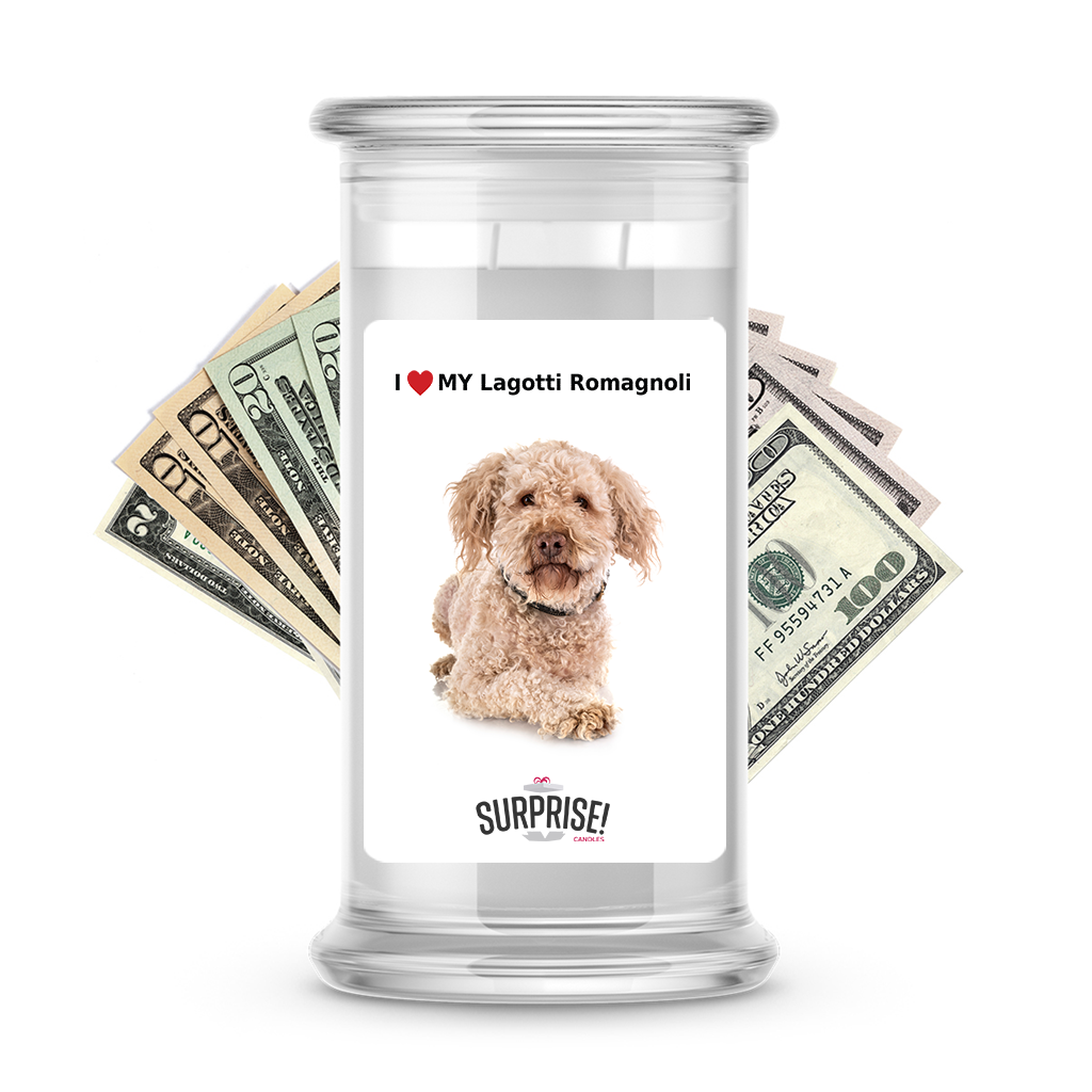 I ������ My Lagotti Romagnoli | Dog Surprise Cash Candles
